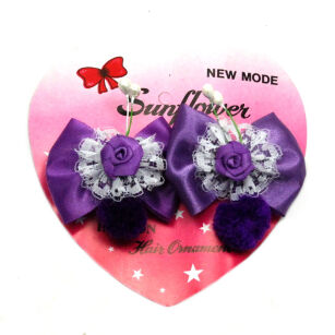 HAIR CLIPS  (2 PCS)                                                           0317-173