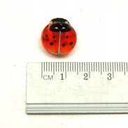 SZCZĘKI / KRABIKI KOLOROWE MAŁE BIEDRONKI  36 SZTUK                                                      (9595-1 SAH2) - 4