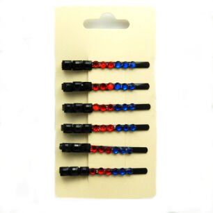 HAIRGRIPS (6 PCS)                                                                                               0300-02