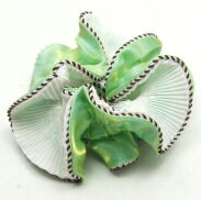 GUMKI DO WŁOSÓW OZDOBNE/SCRUNCHIE  MIX KOLOR (6 SZTUK)                          0176-48 - 3