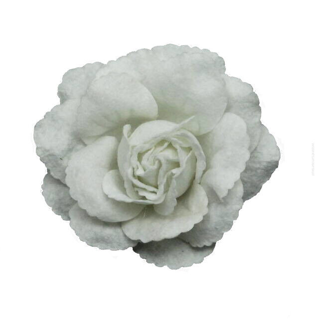 BROSZKA  KWIAT  BIAŁY                                                                                                0617-536