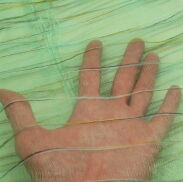 APASZKA / CHUSTA DAMSKA ZIELONA                                                                                      (AP-30) - 2