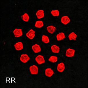 ROSES RED (20 PCS) RR