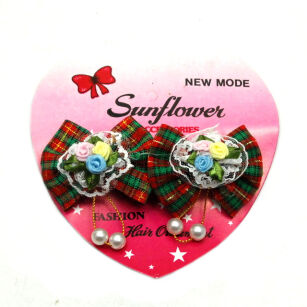 HAIR CLIPS (2 PCS)                                                           0317-175