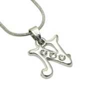 NASZYJNIK METALOWY Z ZAWIESZKĄ  LITERKA 